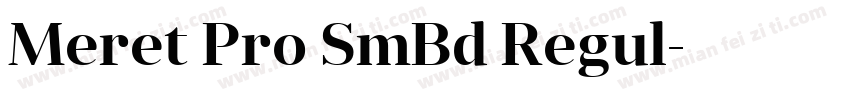 Meret Pro SmBd Regul字体转换